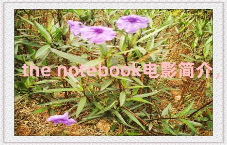 the notebook电影简介，the notebook影评